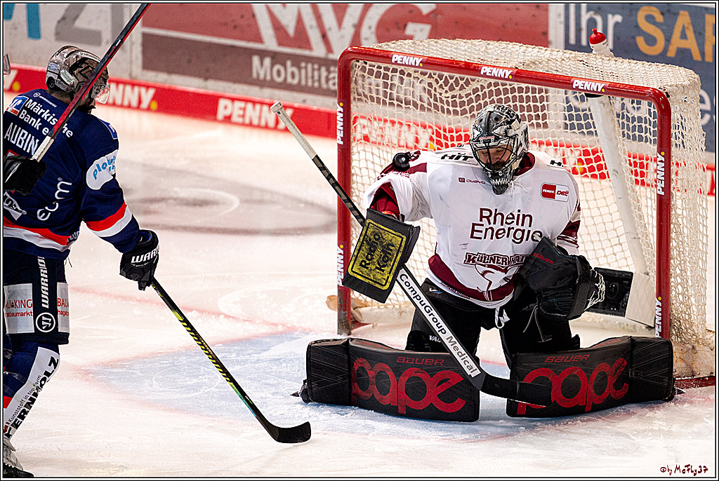PENNY DEL;  Iserlohn Roosters - Koelner Haie; Iserlohn, 13.01.2021